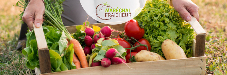 marechal-fraicheur